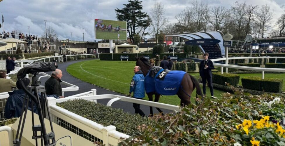 5c576069-050c-470e-8717-5870acc3c884